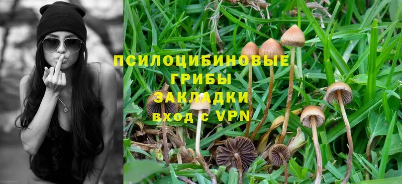 Галлюциногенные грибы Psilocybine cubensis  blacksprut вход  Заинск 